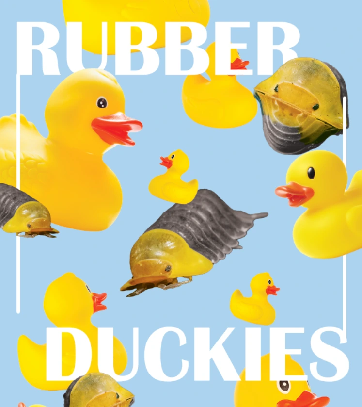 Yellow rubber ducks and rubber ducky isopods